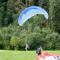 2011 DH31.11 Luesen Papillon 200