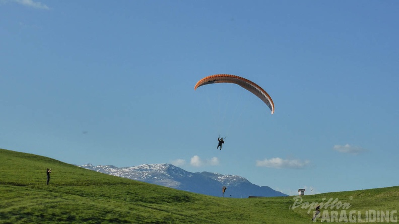 DH17 15 Luesen-Paragliding-1360