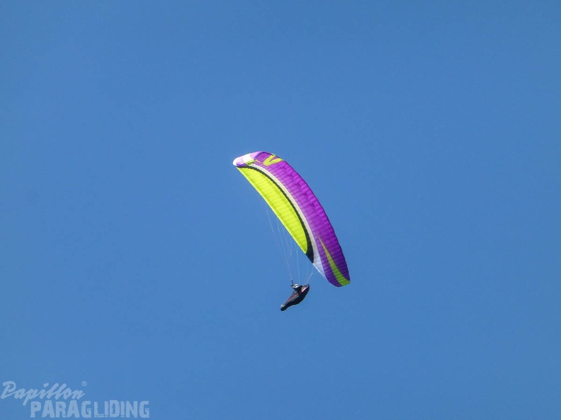 DH17_15_Luesen-Paragliding-1443.jpg