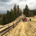 DH17 15 Luesen-Paragliding-954