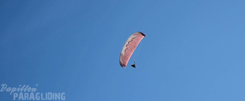 DH18 15 Luesen-Paragliding-316