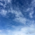Luesen Paragliding-DH22 15-1254