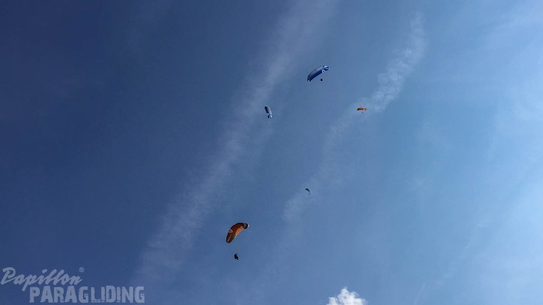 Luesen Paragliding-DH22 15-2732