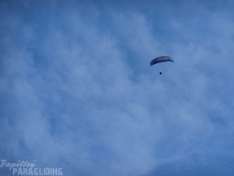 Luesen Paragliding-DH27 15-105