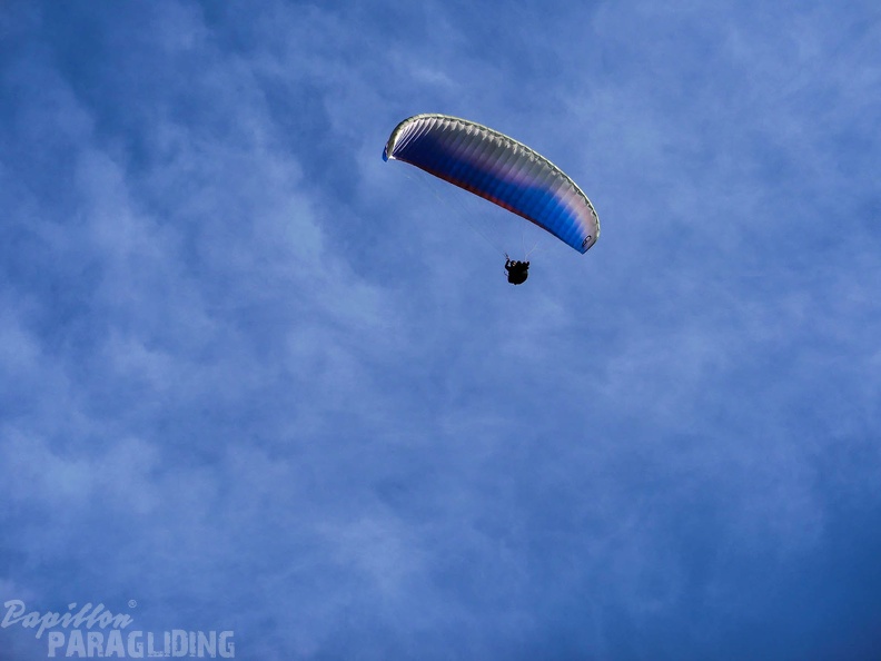 Luesen Paragliding-DH27 15-115