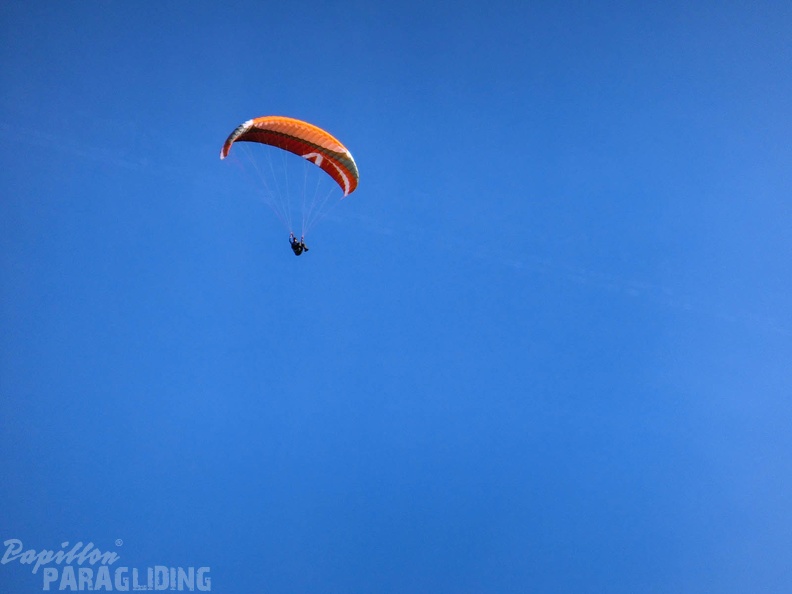 Luesen Paragliding-DH27 15-120