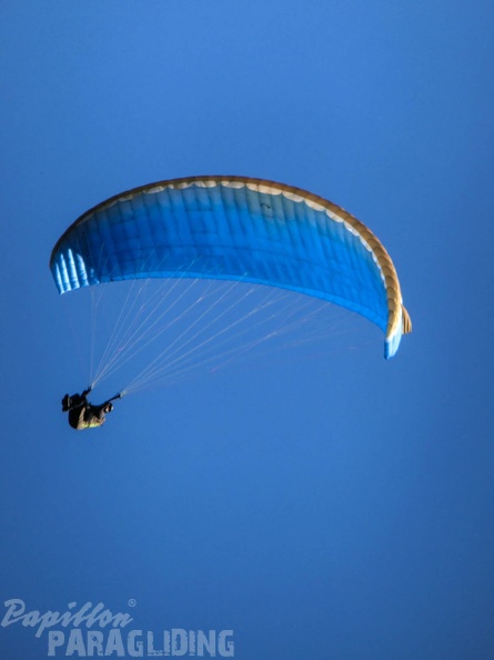 Luesen Paragliding-DH27 15-135
