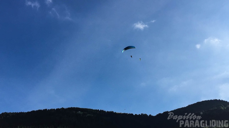 Luesen Paragliding-DH27 15-290