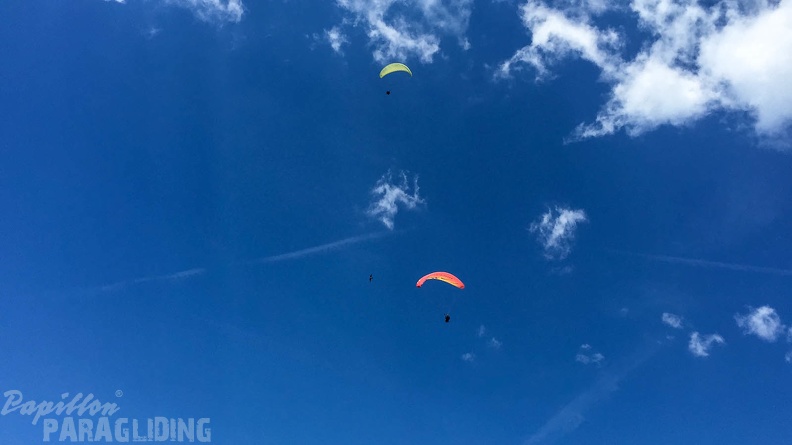 Luesen Paragliding-DH27 15-775