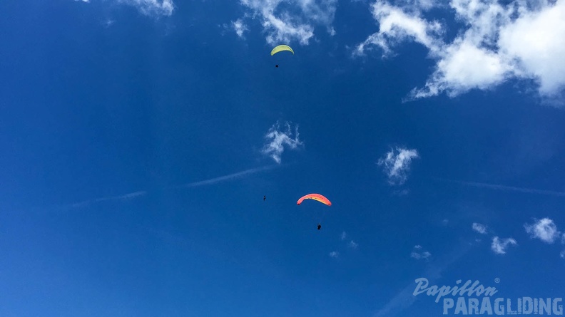 Luesen Paragliding-DH27 15-775