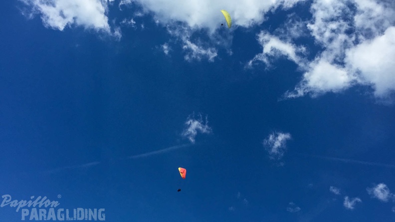 Luesen Paragliding-DH27 15-776