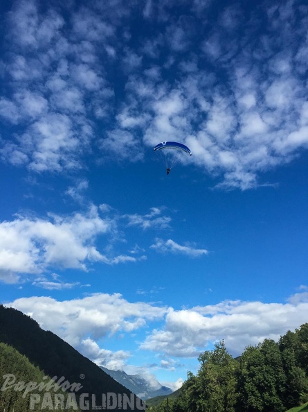 Luesen DT34.15 Paragliding-1083