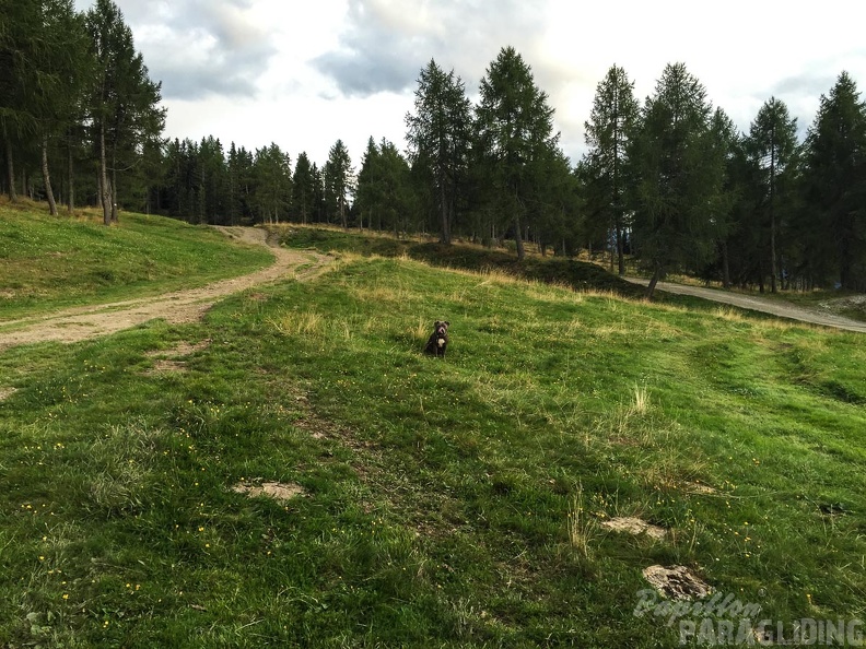 Luesen_DT34.15_Paragliding-1093.jpg