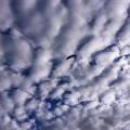 Luesen DT34.15 Paragliding-2039