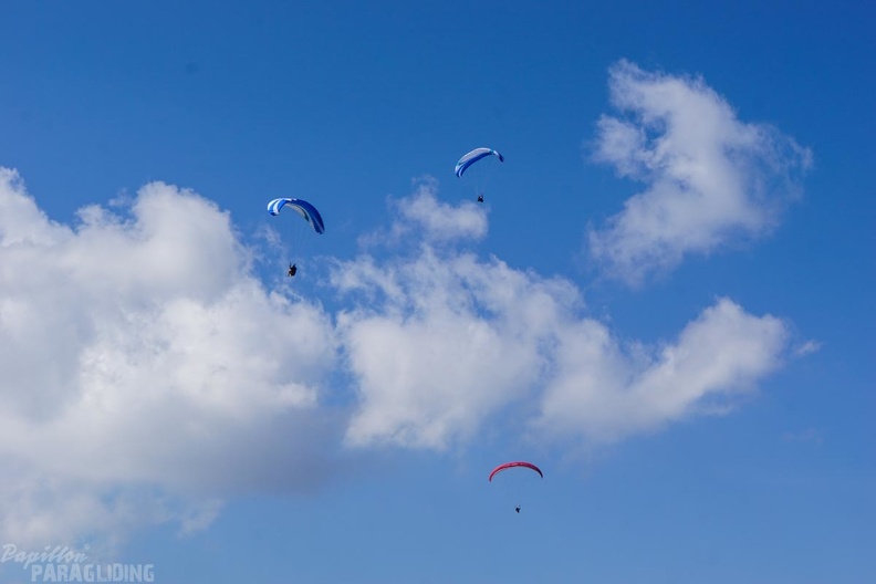 DH19.16-Luesen-Paragliding-250.jpg