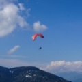 DH19.16-Luesen-Paragliding-267