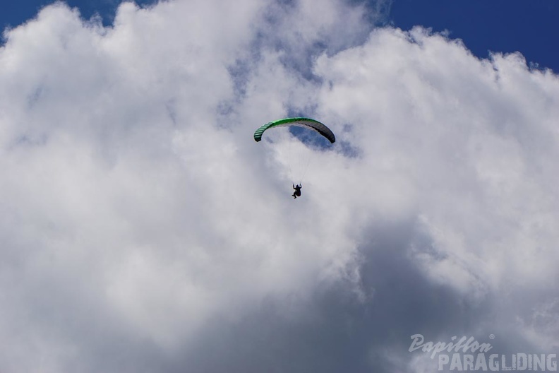 DH19.16-Luesen-Paragliding-320.jpg