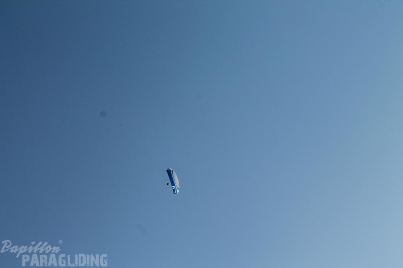 DH25.16-Luesen-Paragliding-1009
