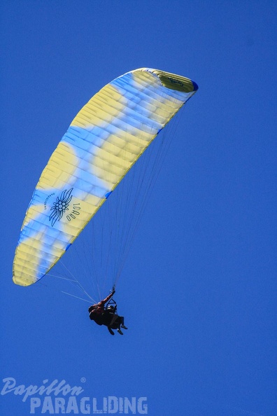 DH35.16-Luesen_Paragliding-1118.jpg