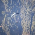 DH35.16-Luesen Paragliding-1173