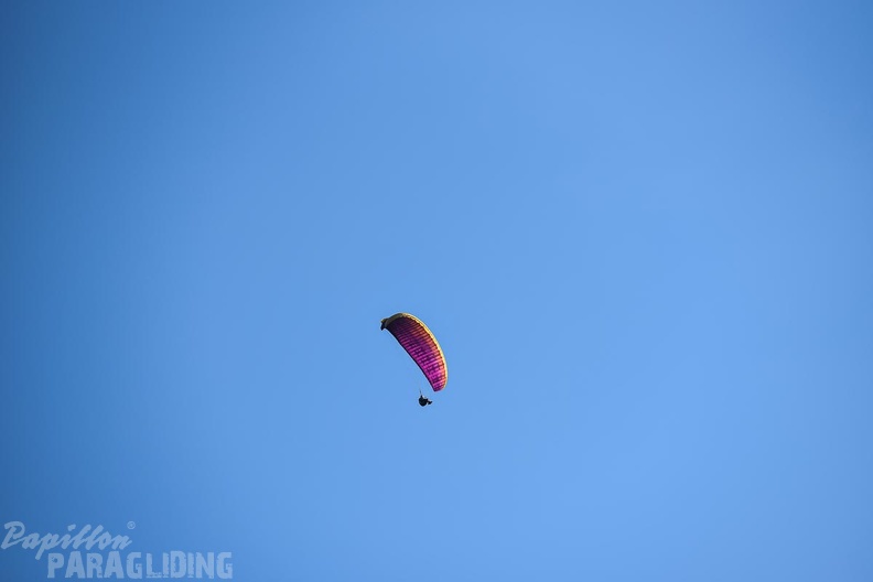 DH35.16-Luesen_Paragliding-1377.jpg