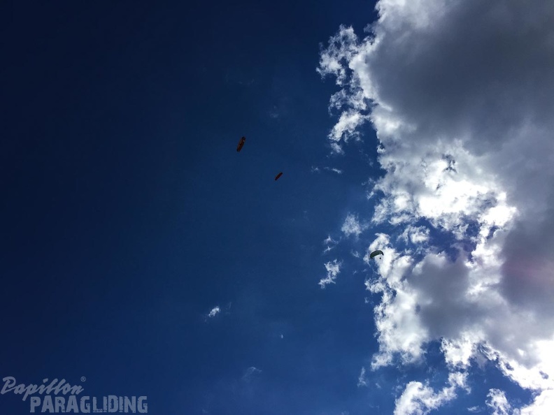 DT24.16-Paragliding-Luesen-1345