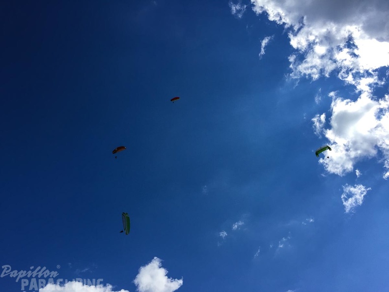 DT24.16-Paragliding-Luesen-1349