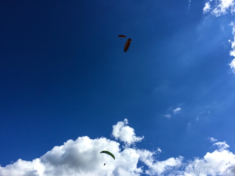 DT24.16-Paragliding-Luesen-1355