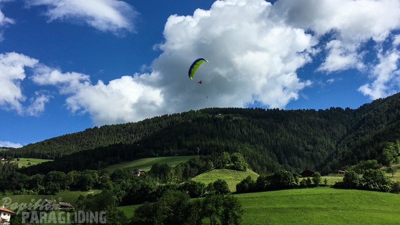 DT24.16-Paragliding-Luesen-1378