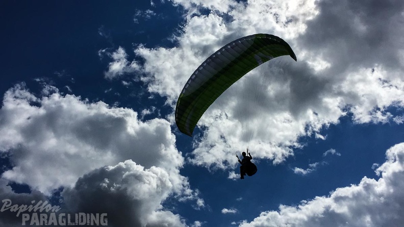 DT24.16-Paragliding-Luesen-1418