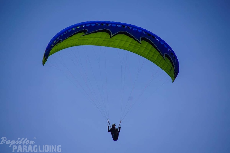 DH11.17_Luesen-Paragliding-267.jpg