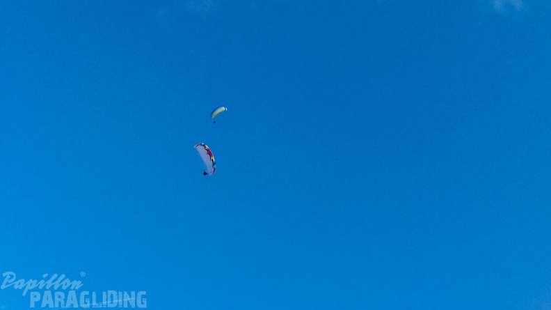 DH11.17_Luesen-Paragliding-285.jpg