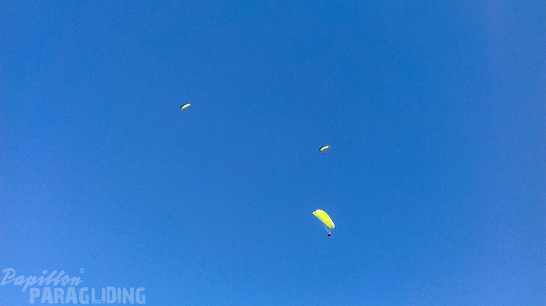 DH11.17_Luesen-Paragliding-367.jpg