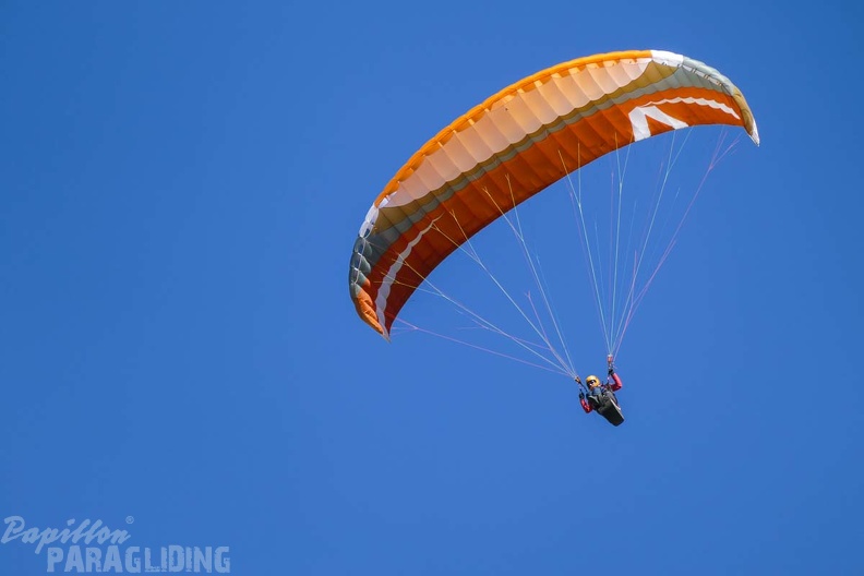 DH13.17_Luesen-Paragliding-392.jpg