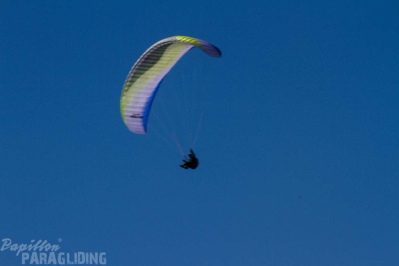 DH14.18_Luesen-Paragliding_3_-115.jpg