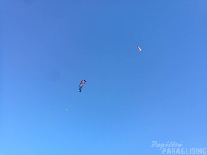 DH50.18 Luesen-Paragliding-233