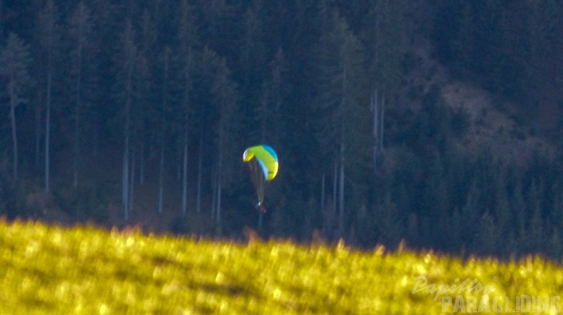 DH13.19_Luesen-Paragliding-320.jpg