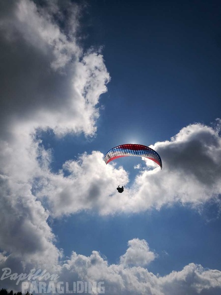 DH15.19_Luesen-Paragliding-217.jpg