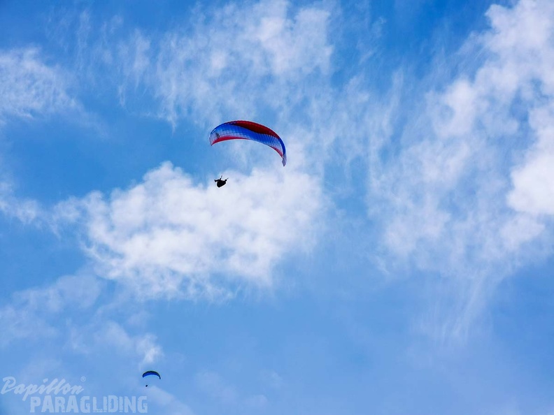 DH21.19 Paragliding-Luesen-168