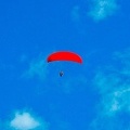 DH37.19 Niko-Paragliding-110
