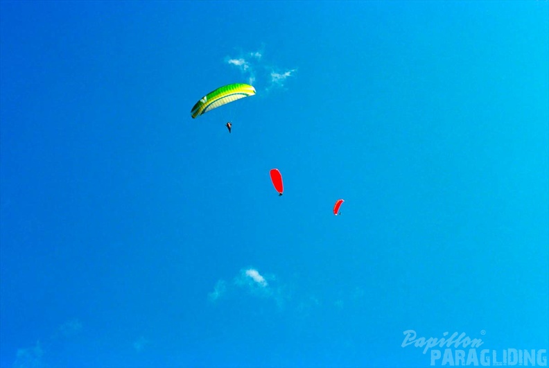 Luesen Paragliding NG-1011