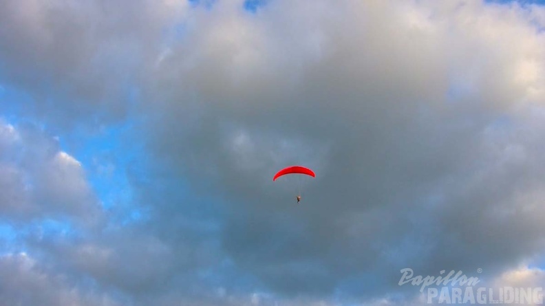 Luesen Paragliding NG-1042