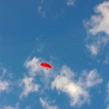 Luesen Paragliding NG-1091