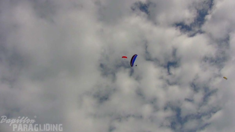 Luesen Paragliding NG-1099