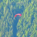 Luesen Paragliding NG-1118