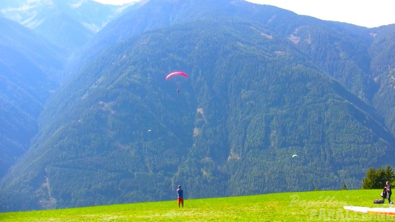 Luesen Paragliding NG-1134