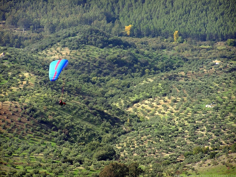 2005 Algodonales3.05 Paragliding 053