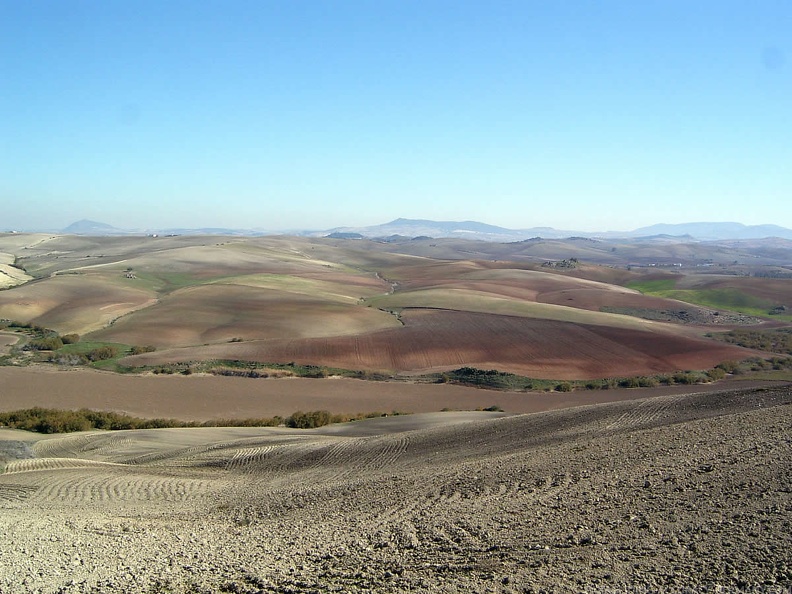 2005 Algodonales4.05 Paragliding 066