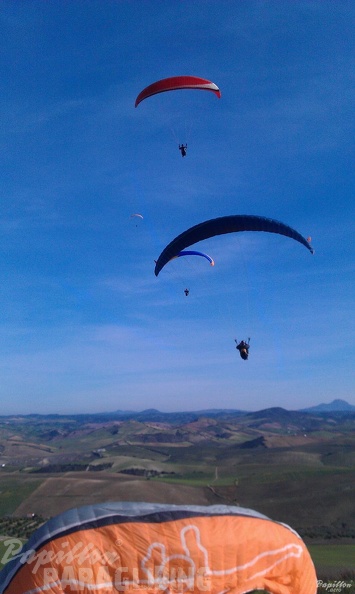 2013 FA1.13 Paragliding 031