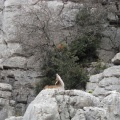 FA47_13_Algodonales_001.jpg